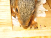 Enlarge photo 26