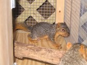 Enlarge photo 33