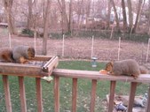 Enlarge photo 37