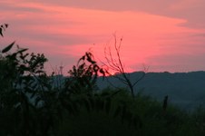 Enlarge photo 18