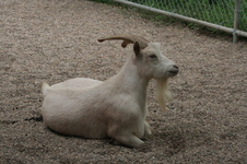 Enlarge photo 16