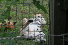 Enlarge photo 19
