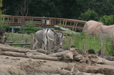 Enlarge photo 26