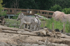 Enlarge photo 27