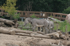 Enlarge photo 28