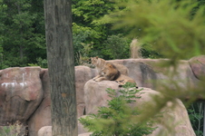 Enlarge photo 29