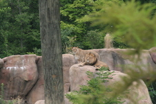 Enlarge photo 30