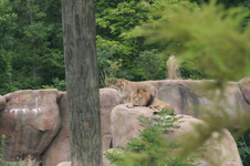 Enlarge photo 31