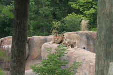 Enlarge photo 32