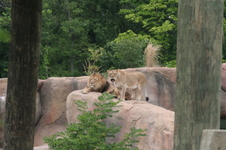 Enlarge photo 33