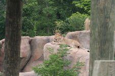 Enlarge photo 34