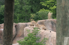 Enlarge photo 36