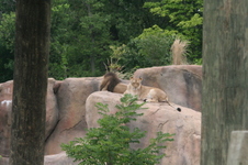 Enlarge photo 37