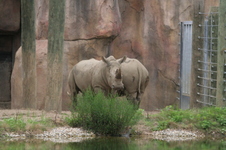 Enlarge photo 38