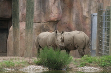Enlarge photo 39
