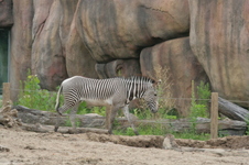 Enlarge photo 40