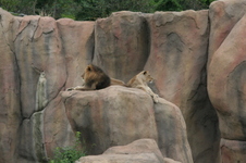 Enlarge photo 43
