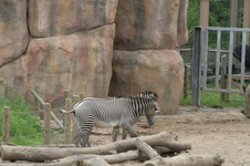 Enlarge photo 44