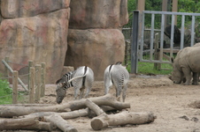 Enlarge photo 45