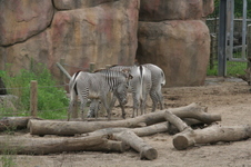Enlarge photo 46