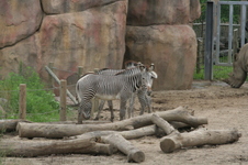 Enlarge photo 47