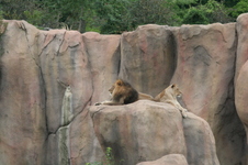 Enlarge photo 48