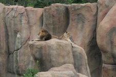 Enlarge photo 49