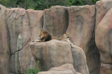 Enlarge photo 51