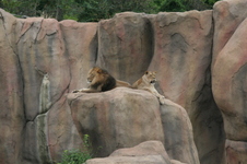 Enlarge photo 52