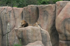 Enlarge photo 53