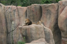 Enlarge photo 54