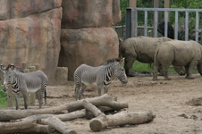 Enlarge photo 55