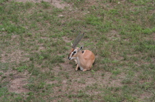 Enlarge photo 71