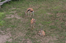 Enlarge photo 82