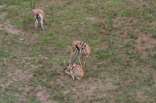 Enlarge photo 83