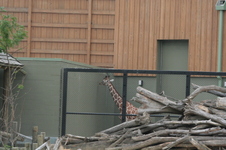 Enlarge photo 86