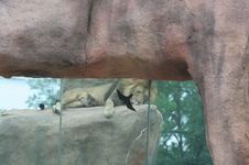 Enlarge photo 88