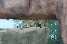 Enlarge photo 89