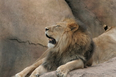 Enlarge photo 106
