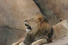 Enlarge photo 107