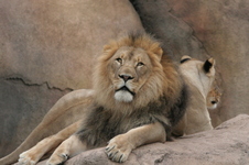 Enlarge photo 111
