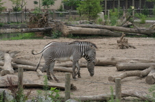 Enlarge photo 113