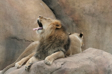 Enlarge photo 114