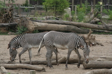 Enlarge photo 122