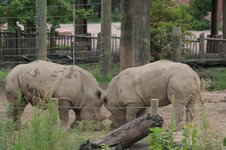 Enlarge photo 123
