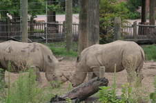 Enlarge photo 124