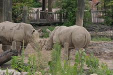 Enlarge photo 126
