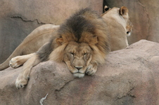 Enlarge photo 144