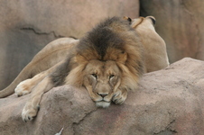 Enlarge photo 148