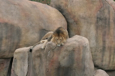 Enlarge photo 152